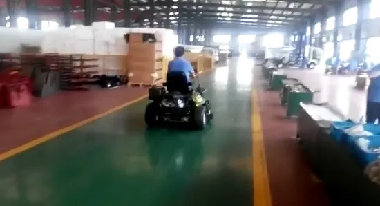 경제적인 Briggs Stratton Engine 52